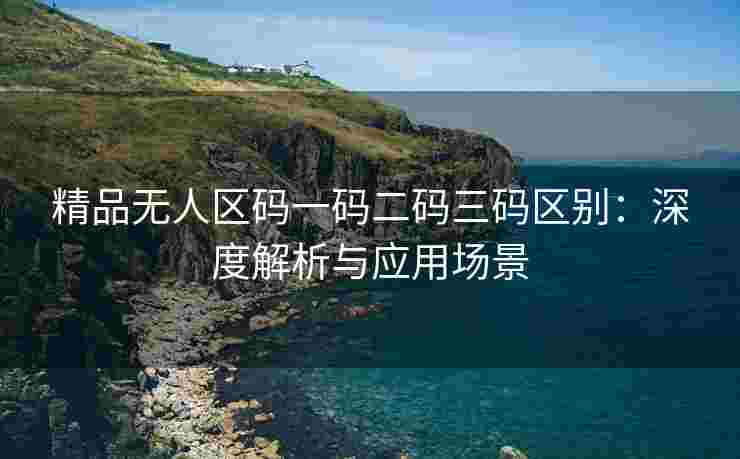 精品无人区码一码二码三码区别：深度解析与应用场景