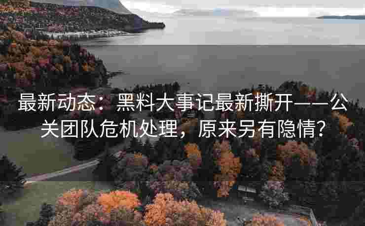 最新动态：黑料大事记最新撕开——公关团队危机处理，原来另有隐情？