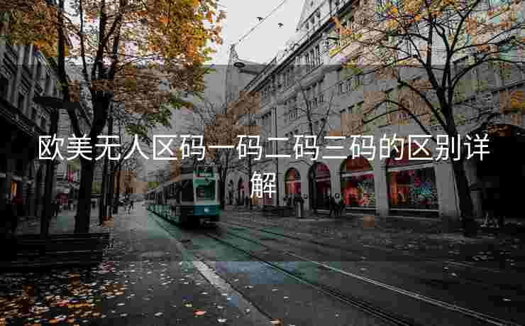 欧美无人区码一码二码三码的区别详解
