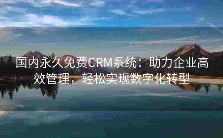 国内永久免费CRM系统：助力企业高效管理，轻松实现数字化转型