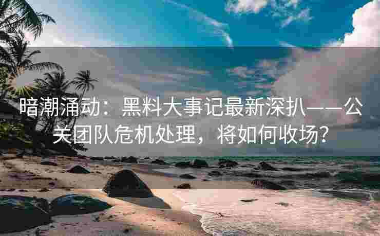 暗潮涌动：黑料大事记最新深扒——公关团队危机处理，将如何收场？