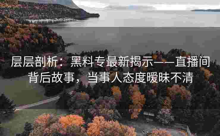 层层剖析：黑料专最新揭示——直播间背后故事，当事人态度暧昧不清