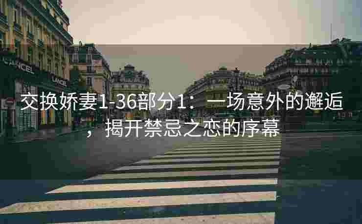 交换娇妻1-36部分1：一场意外的邂逅，揭开禁忌之恋的序幕
