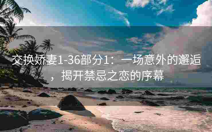 交换娇妻1-36部分1：一场意外的邂逅，揭开禁忌之恋的序幕