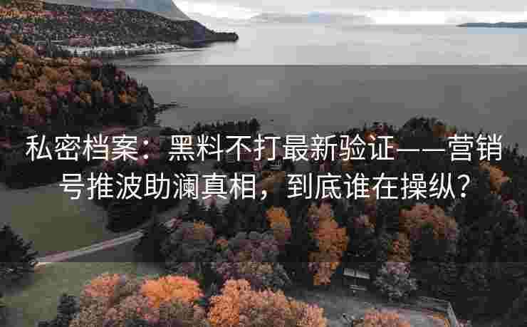 私密档案：黑料不打最新验证——营销号推波助澜真相，到底谁在操纵？