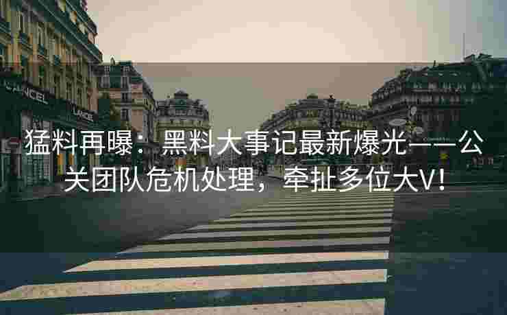 猛料再曝：黑料大事记最新爆光——公关团队危机处理，牵扯多位大V！