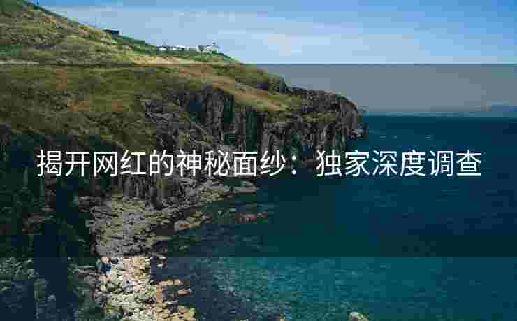 揭开网红的神秘面纱：独家深度调查