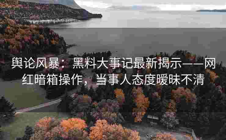 舆论风暴：黑料大事记最新揭示——网红暗箱操作，当事人态度暧昧不清